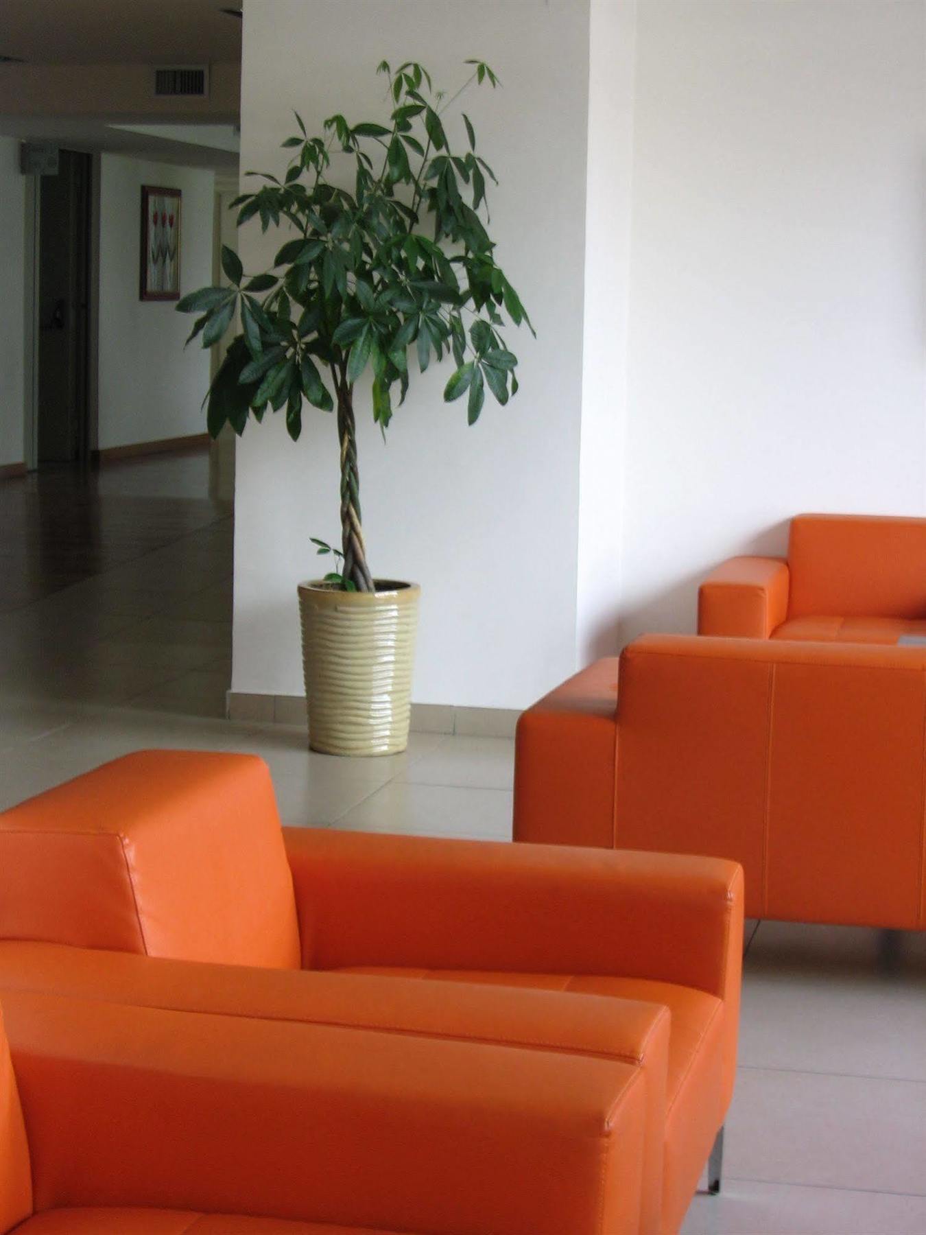 Garden Hotel Latina Extérieur photo